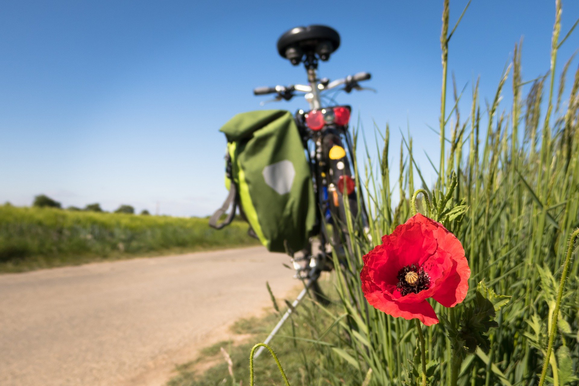 Fahrradtouren im TSV Waldtrudering
