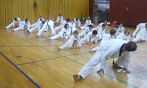 Sommerfest TSV Waldtrudering