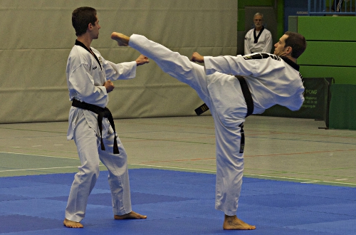 Bundes-Dan-Prüfung am 12.10.13